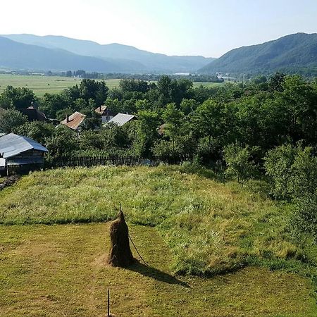 Pensiunea Adeluta Apartament Călimăneşti Buitenkant foto