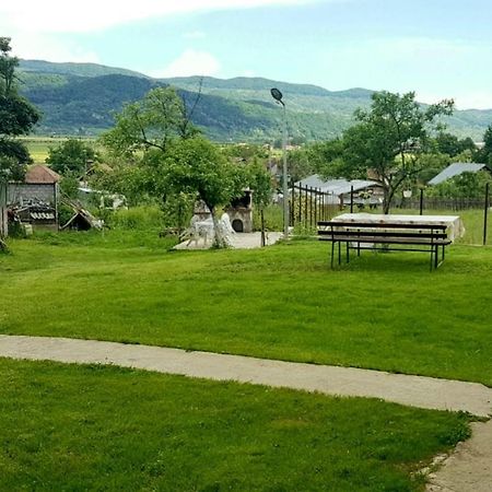 Pensiunea Adeluta Apartament Călimăneşti Buitenkant foto