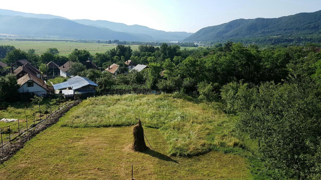 Pensiunea Adeluta Apartament Călimăneşti Buitenkant foto