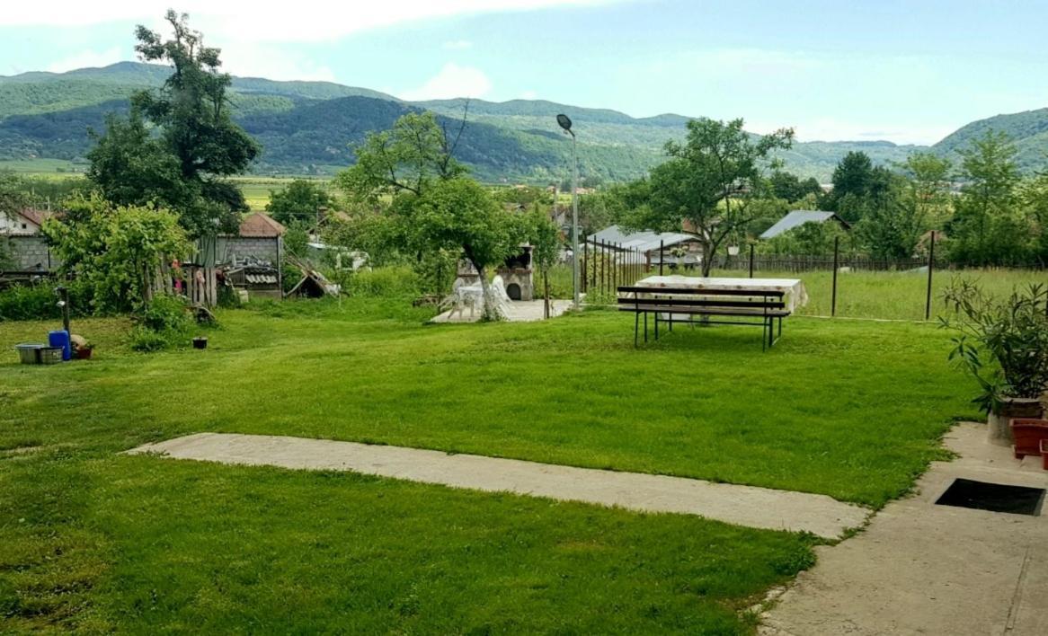 Pensiunea Adeluta Apartament Călimăneşti Buitenkant foto