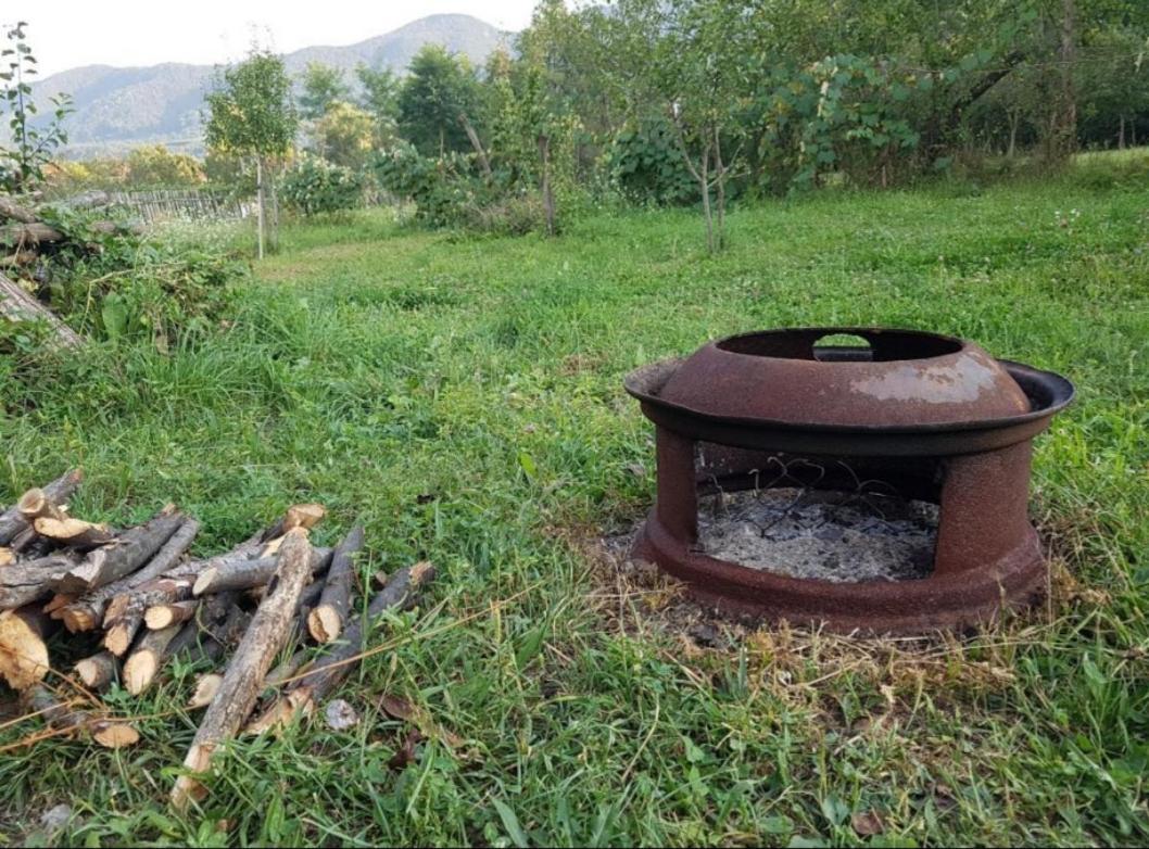 Pensiunea Adeluta Apartament Călimăneşti Buitenkant foto